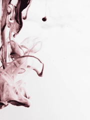 𝒥ℴℯ𝓁 ℒ𝓊𝒾𝓈