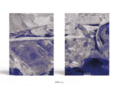 Sold out. Out of the blue