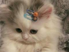 어쩌다보니 드래곤 마스터 7