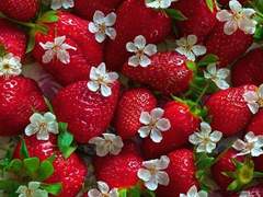 내 눈에 비춰진 너는