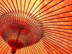 長沼 正武_카라카사_1980