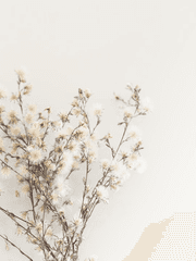 내가 너를 만난 건 그 무엇으로도 바꿀 수 없는 행운이었다.