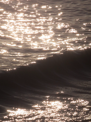 제일 쉬운 사랑을 어렵게