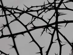 내 사랑, 물어야 할 것이 있어요