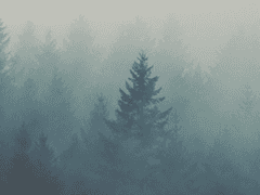 흘러넘친 물은 어디로 가는가(2)