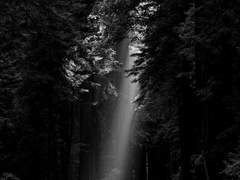 萬聖祭. 첫 번째