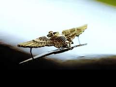 발송인 : Tom Kazansky