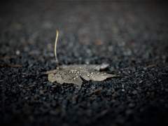 [보이스][강우권주]홀로서 살아가는 시간.