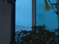 방이 주는 가르침