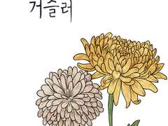 [나가듄]운명을 거슬러