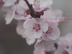 나는 차가운 너의 몸을 끌어안고 밤새도록 눈물을 흘렸다.