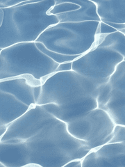 바다의 경계선에서