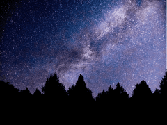 조인아는 눈이 좋지 않았다.