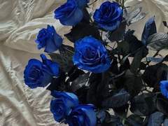 [1기] 빌리 로넌