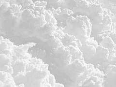 첫사랑의 정의 - 1