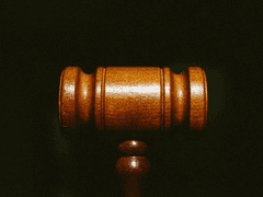 [솔에이준] - 다람쥐의 반란