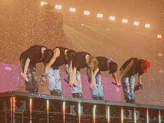 늑대들 사이 장미 한 송이 - 29