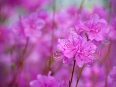 210920 #저잣거리_곡조