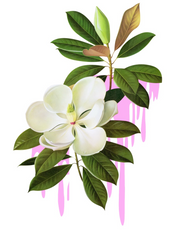 목련 랜치 샌드위치