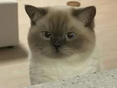 수학영재 황남매의 고등학교 생활♡ +