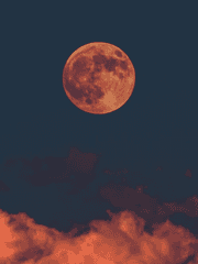 상냥하게 다가와서