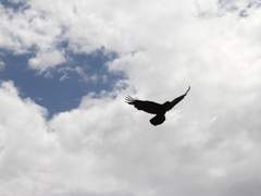 한결, 그러니 당신은 자립해야 한다.