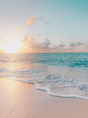 방수기지AU 썰 백업