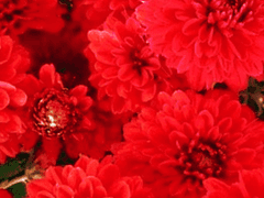 친애하는 재버워크께