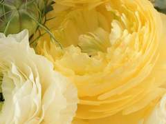 [젠탄] 조각글 1