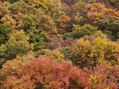 신은 사랑을 하는가