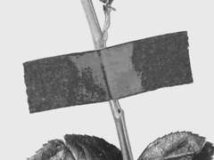 마음에 안 들어.