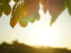 사고뭉치 일곱 도련님