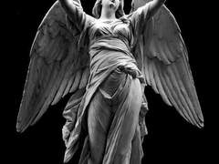 난 아직 살아있어!