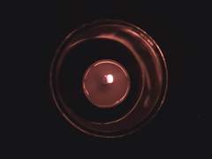 인간으로써 실격이었다.