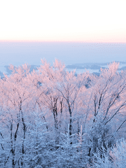눈의 세상과 소녀