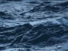 형은 끝까지 사랑이었구나