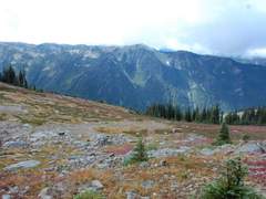 언제나, 누구에게나 따뜻했던 당신의 온기