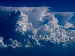 이해하지 않을.