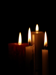 작품이 되지 못한 문장들의 모음