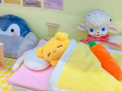 낮잠쿨쿨뭉대 사진 모음