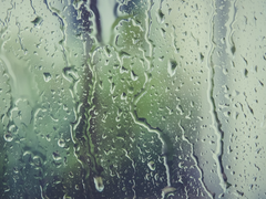 [유진문대] 여름비(2)