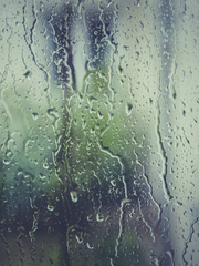 [유진문대] 여름비