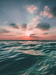 [원피스] 조로루