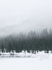 브라보 중대의 겨울나기