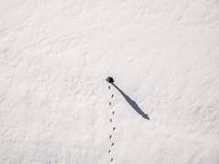 잘 자, 내일 보자.