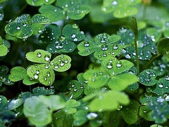 2023 신년 특촬 합작 공개