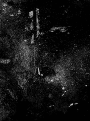 청춘의 기록을 미루어 보아