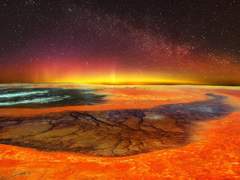 이우주/XY/벌꿀 오소리