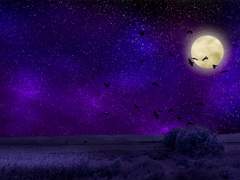 [룡동희] 초대받지 못한 귀빈