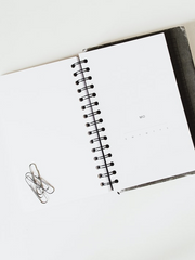 테트프리 폭스바니 프리테트